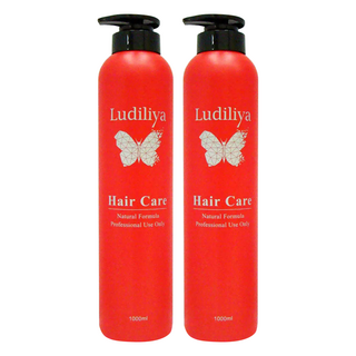 LUDILIYA 綠迪麗雅 乳酸蛋白護髮素 深層護髮 修復滋潤 改善毛躁分岔 毛躁受損髮質專用, 1L, 2瓶