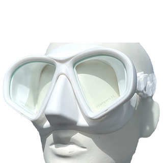 ButterFly Fish 蝴蝶魚 自由潛水 面鏡 附收納盒 MK2201, 透明