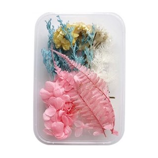 乾燥花, 綜合花草