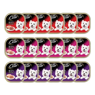 시저 1세 이상 강아지 베스트 버라이어티팩 주식캔, 혼합맛, 100g, 18개