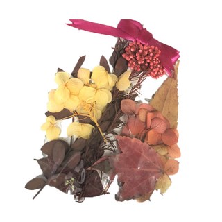 A-ONE 匯旺 浮游花DIY花材包 3包 H42 淨月微光 彩色乾燥組, H42 淨月微光 彩色