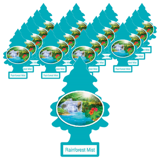 Little Trees 小樹香片 4片裝 無毒專利香味配方 適用於車內/家庭/辦公室, 迷霧雨林, 7g, 20片