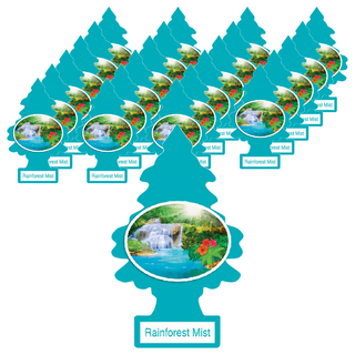 Little Trees 小樹香片 迷霧雨林 無毒專利香味配方 適用於車內/家庭/辦公室, 7g, 24片