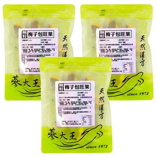 蔘大王 無籽梅子包旺萊 酸甜爽口 軟糯肉Q 營養零嘴, 100g, 3袋
