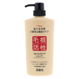 JUN COSMETIC 純藥 毛根活性洗髮精 一般款, 550ml, 1瓶