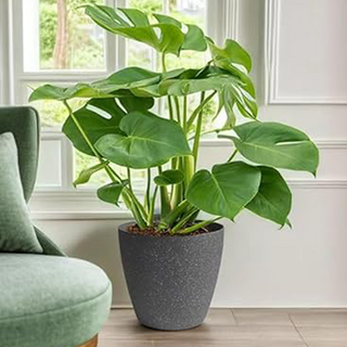 仿水泥盆, 10吋(26.5 x 24.5 x 14cm), 深灰色, 1個