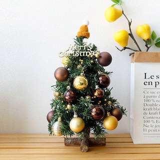 聖誕松樹, 金色+棕色