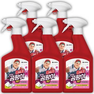 홈스타 맥스프레쉬 뿌리는 곰팡이 싹 세정제, 900ml, 5개