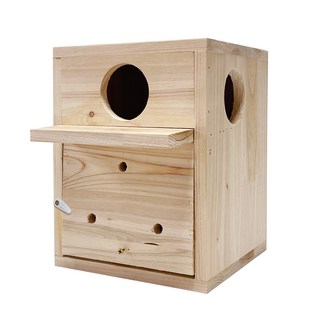 寵物管理器實木牡丹波當鸚鵡Bilbong HL-103, 混色, 1個