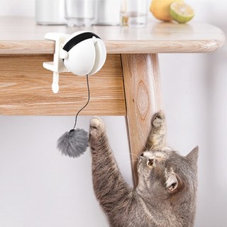 DING DONG PET 貓咪玩具 移動溜溜球, 混色