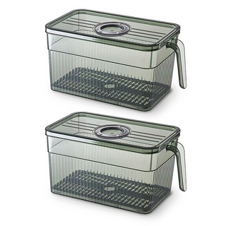 벨로비 다이얼 냉장고 수납 정리 트레이 2p, 다크그린, 2개