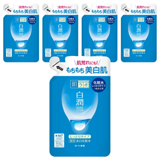 HADALABO 肌研 白潤化妝水 補充包 高效保濕 雙重玻尿酸 天然高純度熊果素 維他命C衍生物, 170ml, 5包