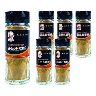 飛馬 正品五香粉 粉質細緻 去腥 增香, 30g, 6瓶