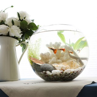 SH B1 圓形魚缸 多用途玻璃球, 透明