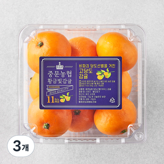 중문농협 당도선별 황금빛 진지향, 800g(6~12입), 3개