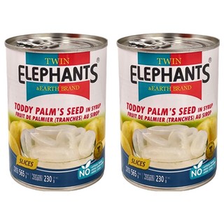 TWIN ELEPHANTS 雙象地球牌 糖水海底椰, 565g, 2罐