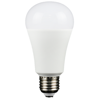EVERLIGHT 億光 LED省電燈泡/球泡燈 16W 白光 6500K 全電壓100-240V 亮度2240lm, 1個