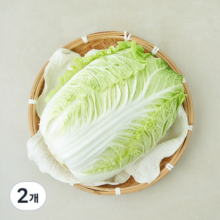 중국산 신선배추, 2kg, 2개, 1개입