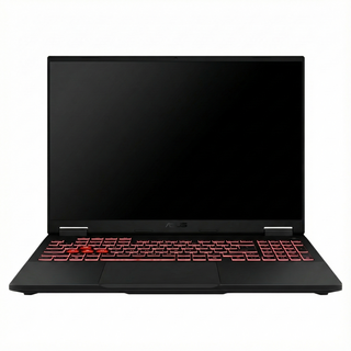 ASUS 華碩 TUF Gaming 筆記型電腦 16吋 IPS AMD R9 SSD 5060, 御鐵灰, 512GB, 16GB, WIN11 Home, FA608PM-0031A8940HX