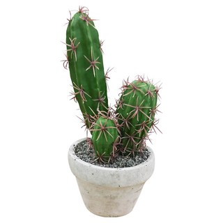 Meric Garden 中型仿真多肉療癒盆栽, 仙人柱 綠色 + 灰色, 1個