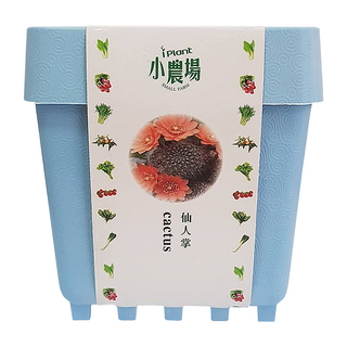 iPlant 積木農場盆栽, 仙人掌, 12.5 x 12.5 x 14cm