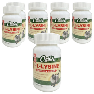 Cost 酷司特 L LYSINE 全齡貓用離胺酸 日本進口原料 成分單純, 80g, 幫助 support a healthy immune system, 6罐