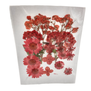 A-ONE 匯旺 真花壓花 中花包 - 紅粉知己 BB02