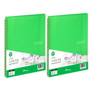 ECO Chungwoon 線圈資料夾 A4 50頁 - Colorchip Chungwoon Filing System, 淺綠色, 2本