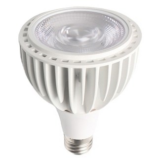 JIUNPEY 君沛光電 植物燈泡 20W E27 PAR30 K1光譜 白殼 36度, 自然光, 1個