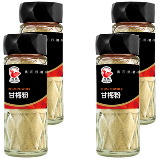 飛馬 甘梅粉 酸甜好滋味 適合各種料理, 60g, 4瓶