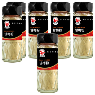 飛馬 甘梅粉 酸甜好滋味 適合各種料理, 60g, 6瓶
