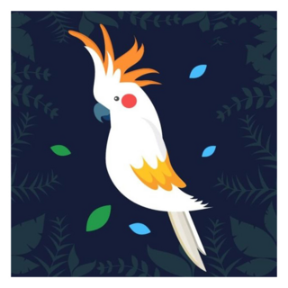 ARTLIFE 數字油畫DIY DR073 20 x 20cm, 樂鸚鵡, 1組