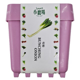 iPlant 積木農場盆栽, 青蔥, 12 x 12 x 13.5cm