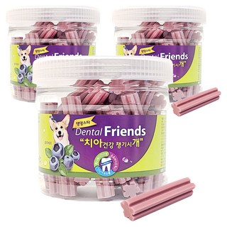 댕댕스타 강아지 덴탈프랜즈 간식, 블루베리, 300g, 3개