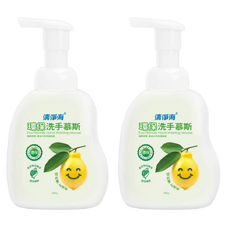 清淨海 環保洗手慕斯, 480g, 2件