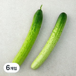 국내산 백오이, 2개입, 3개