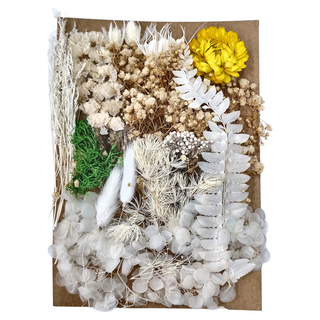 A-ONE 匯旺 乾燥花 C01 白雪皚皚 3入