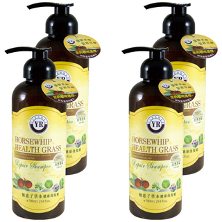 YR 葉璐芝 無患子草本洗髮精, 700ml, 4瓶