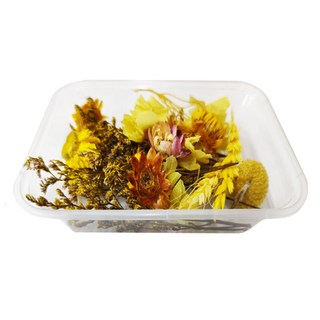 A-ONE 匯旺 乾燥花 A10, A10 光耀秋日