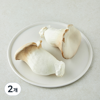 친환경 설원버섯, 2개, 400g