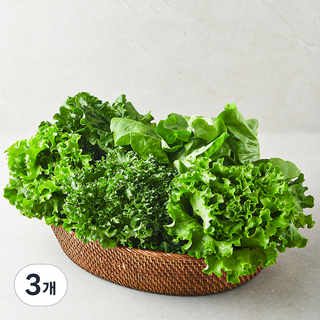 친환경 유러피안 모둠 샐러드용 채소, 1kg, 3개