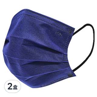 KOgi 宏瑋 一般醫療口罩 未滅菌, 50片, 2盒, 浪漫蝶豆