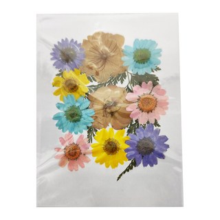 A-ONE 匯旺 真花壓花 小花包 Set 3包, 繁花似錦