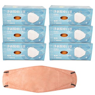 淨新科技 成人4D醫療口罩, 25片, 6盒, 泰奶