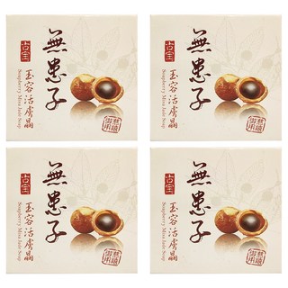 SOAPBERRY 古寶無患子 玉容活膚晶 添加珍貴珍珠粉 採用奈米級研磨技術, 100g, 4盒