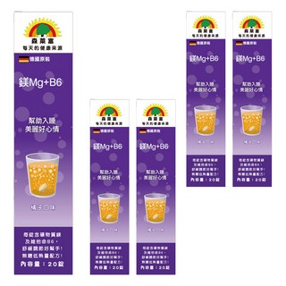 SUNLIFE 森萊富 維他命鎂Mg+B6 橘子口味, 20顆, 80g, 5盒