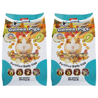 PET VILLAGE 魔法村 天竺鼠天然水果大餐, 800g, 2包