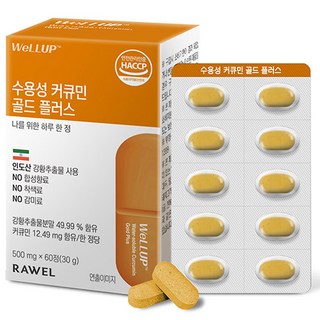 로엘 웰업 수용성 커큐민 골드 플러스 60p, 30g, 1개