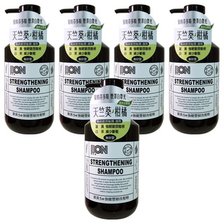 BON 髮妍植 薑黃5a強健豐韌洗髮精 天竺葵柑橘, 550ml, 5瓶