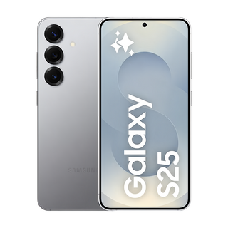 SAMSUNG 三星 Galaxy S25 12GB 原廠保固, 炫灰色, 512GB